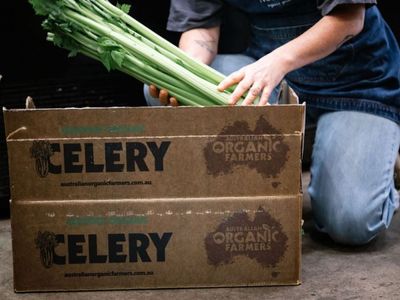 thriving-organic-grocery-store-opportunity-on-the-mornington-peninsula-8