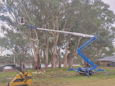 dynamic-woodsman-of-waikerie-a-rare-opportunity-expressions-of-interest-3