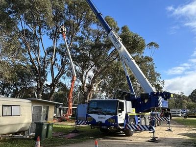 long-established-arborist-businesses-strong-cashflow-amp-major-contracts-4