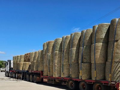 business-for-sale-thriving-rural-retail-store-5