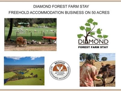 calling-animal-and-nature-lovers-freehold-accommodation-business-on-50-acres-0