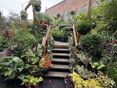 inner-city-garden-centre-8