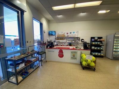 northam-39-s-only-pet-store-for-sale-4