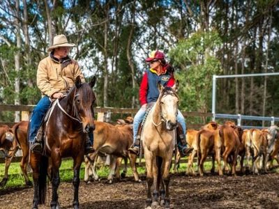 agriculture-recreation-and-luxe-accommodation-development-opportunity-0
