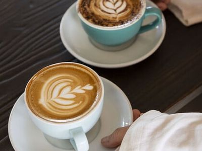 1m-turnover-aaa-fitted-cafe-prime-subiaco-turn-key-amp-expansion-ready-0