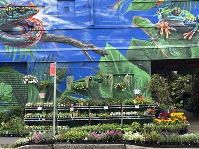 inner-city-garden-centre-6