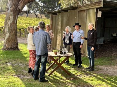 established-sa-wine-tour-operator-25-years-branded-fleet-amp-growth-potential-3