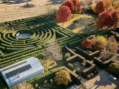 award-winning-maze-garden-caf-amp-gallery-with-events-venue-amp-residence-1