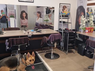 thriving-hair-salon-20-years-of-success-prime-sunshine-coast-location-7