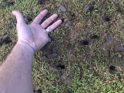 highly-profitable-lawn-renovation-amp-sports-field-maintenance-business-1