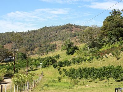 sustainable-hazelnut-amp-agritourism-business-opportunity-8