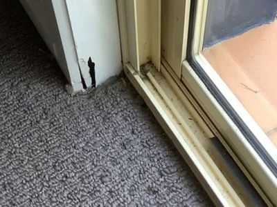 queensland-pest-inspections-amp-reports-gold-coast-4