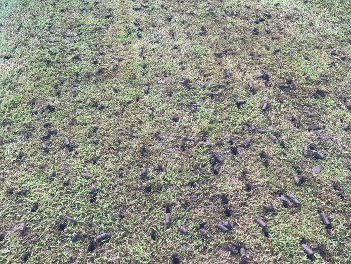 highly-profitable-lawn-renovation-amp-sports-field-maintenance-business-2
