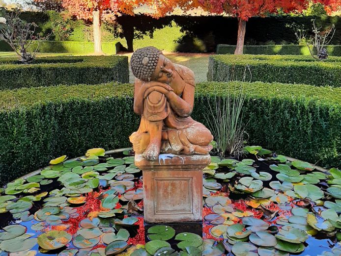 award-winning-maze-garden-caf-amp-gallery-with-events-venue-amp-residence-8