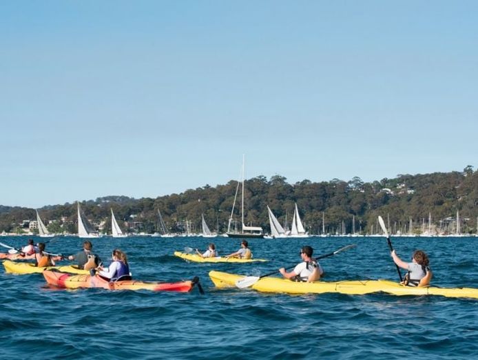 kayak-and-stand-up-paddle-board-hire-business-bayview-pittwater-7