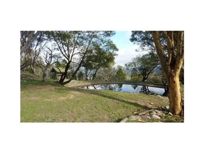 iconic-log-cabin-tea-house-restaurant-with-top-views-under-mt-gladstone-lookout-5