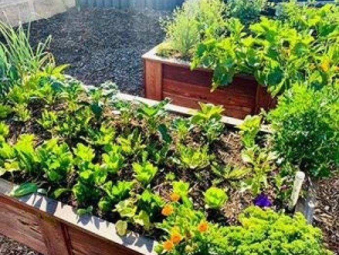 leading-organic-gardening-business-in-perth-neerabup-wa-2