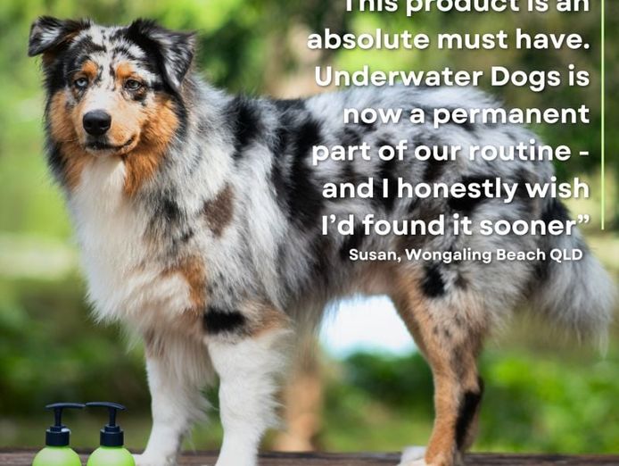 award-winning-australian-dog-haircare-brand-with-global-e-commerce-opportunity-9