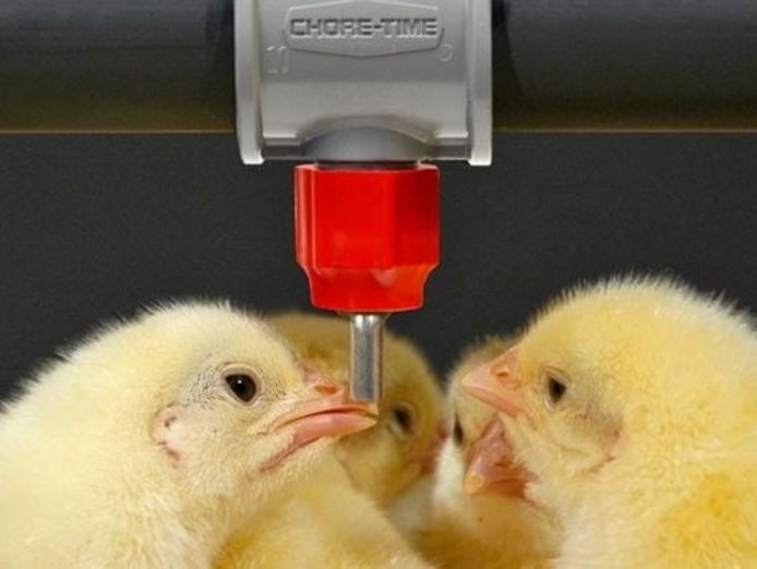 thriving-agritech-business-with-global-reach-and-proven-success-9