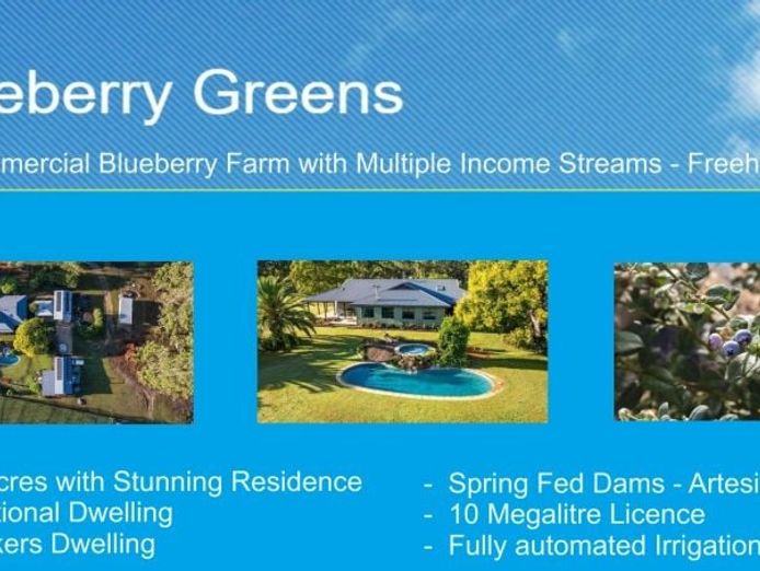 blueberry-greens-blueberry-farm-with-multple-income-streams-freehold-0