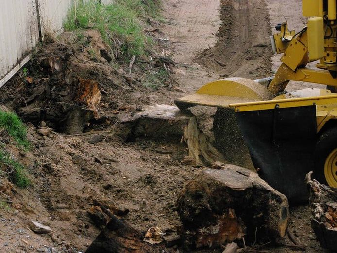 long-established-arborist-businesses-strong-cashflow-amp-major-contracts-2