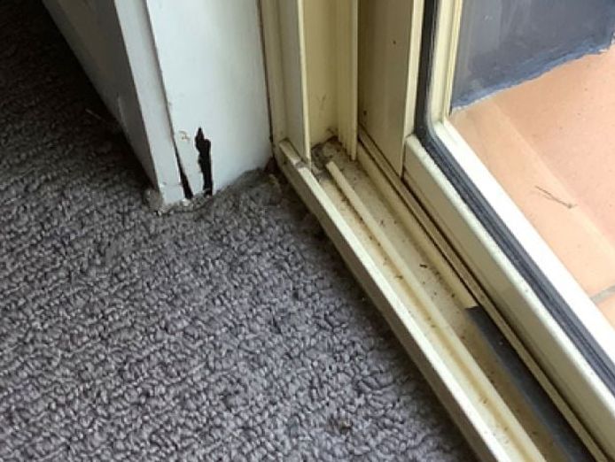 queensland-pest-inspections-amp-reports-gold-coast-4