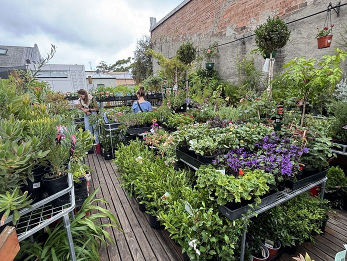 inner-city-garden-centre-7