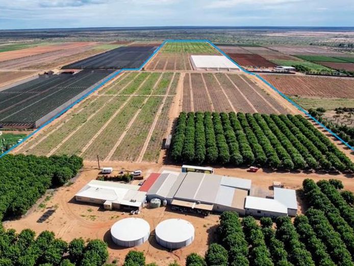 horticulture-business-amp-58-acre-asset-1-5m-capability-walk-in-walk-out-1