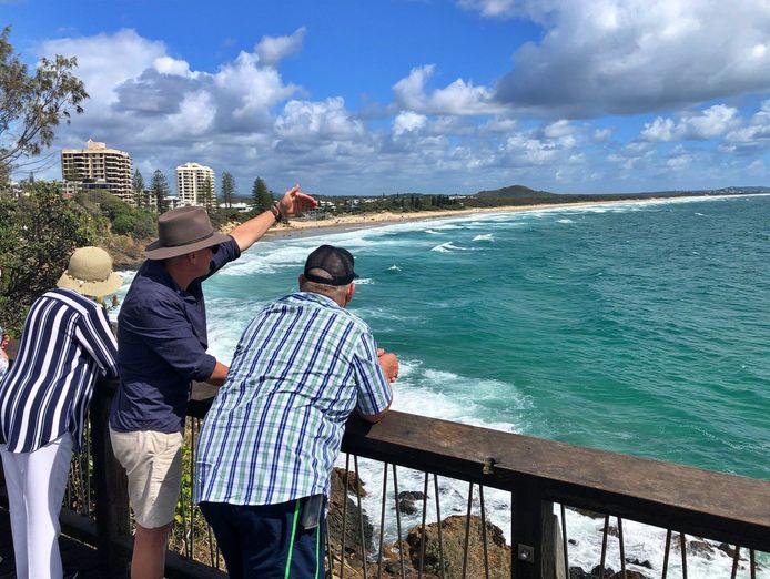 sunshine-coast-and-noosa-tour-charter-business-three-brands-one-opportunity-4