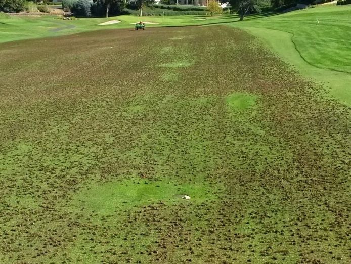 highly-profitable-lawn-renovation-amp-sports-field-maintenance-business-6