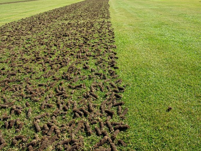 highly-profitable-lawn-renovation-amp-sports-field-maintenance-business-4