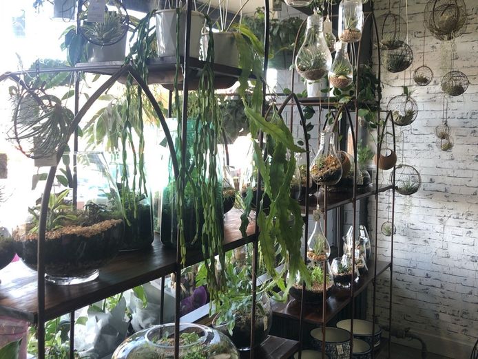 much-loved-florist-and-giftware-business-with-43-years-of-excellence-4