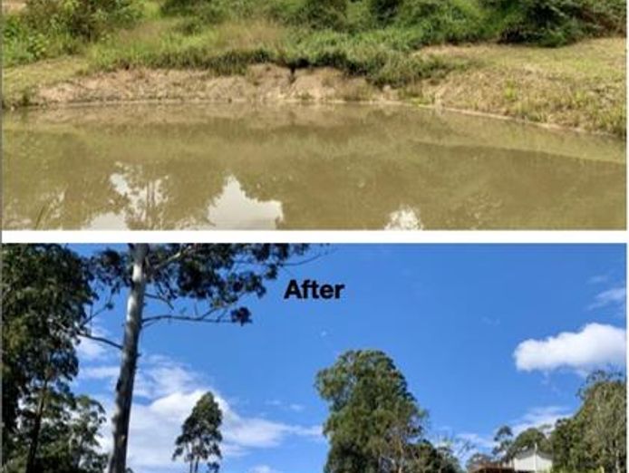 profitable-eco-vegetation-management-business-northern-nsw-9