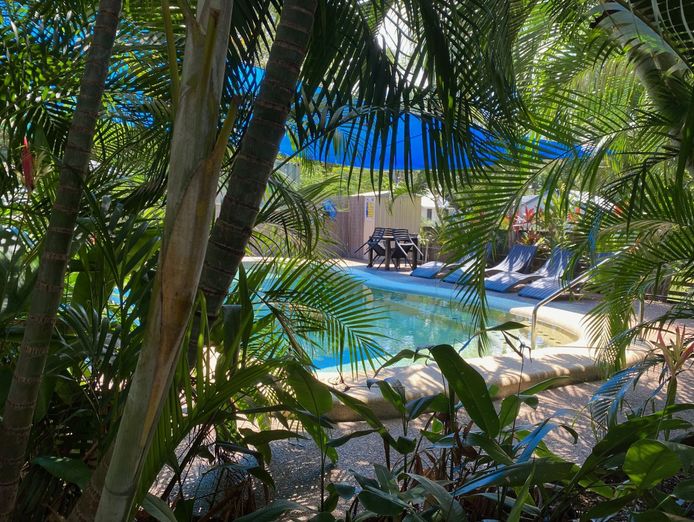 rare-lifestyle-opportunity-on-magnetic-island-5