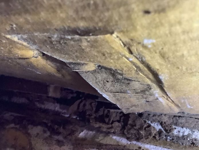 queensland-pest-inspections-amp-reports-gold-coast-7