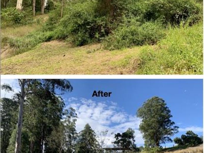 profitable-eco-vegetation-management-business-northern-nsw-8