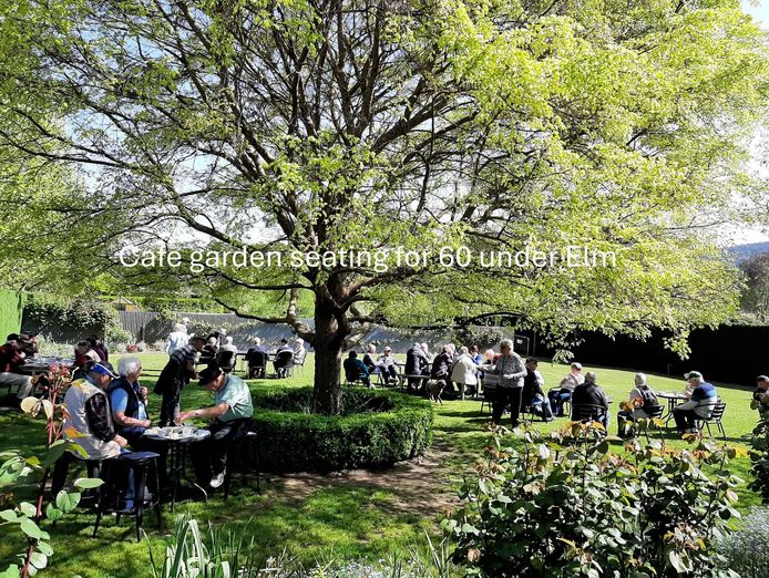 award-winning-maze-garden-caf-amp-gallery-with-events-venue-amp-residence-6
