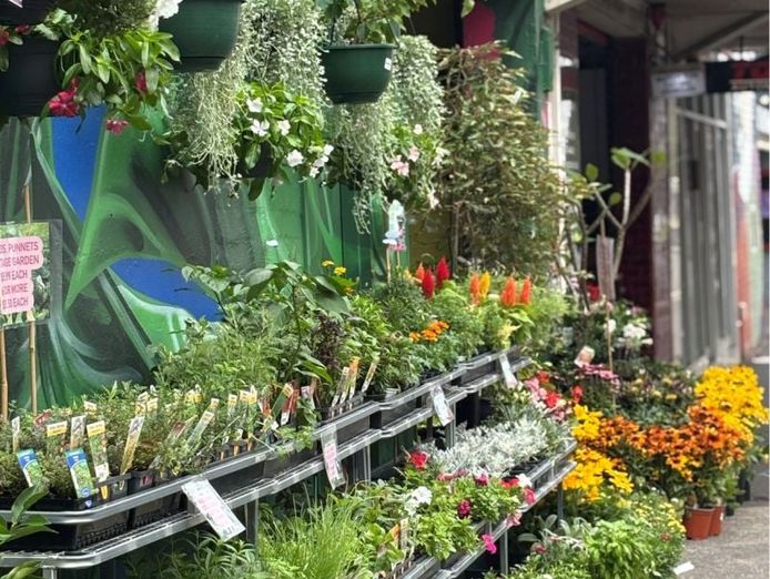 inner-city-garden-centre-1