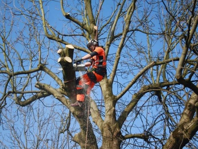 established-arboricultural-business-for-sale-2