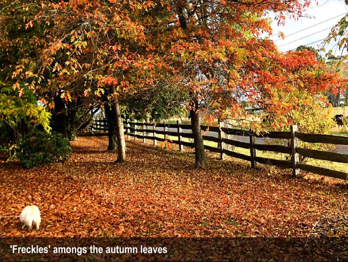 heritage-seed-bank-and-open-garden-9