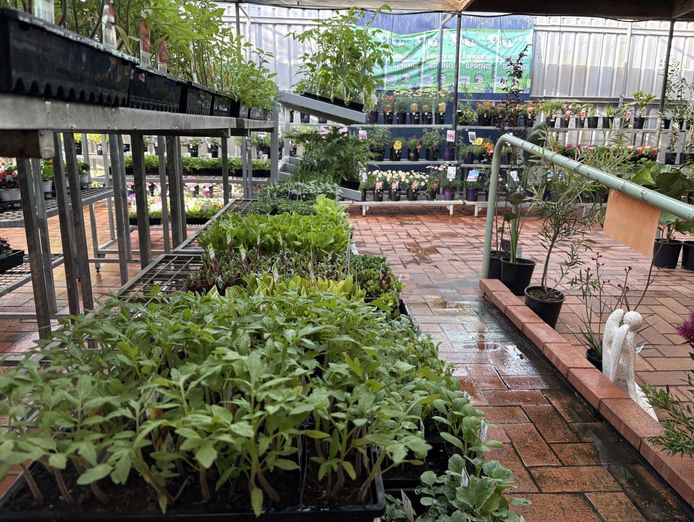 an-iconic-regional-hardware-store-serving-the-community-for-more-than-45-years-4