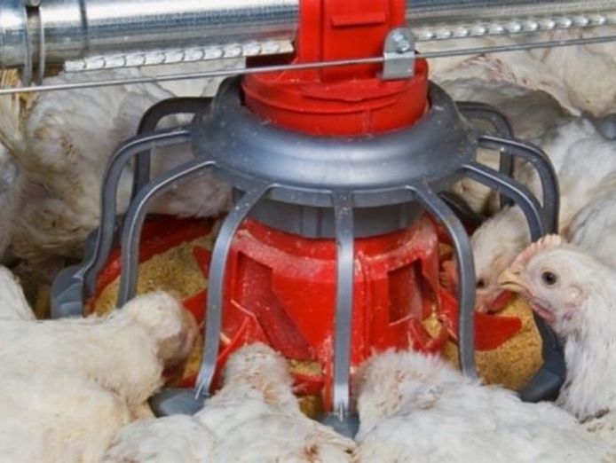 thriving-agritech-business-with-global-reach-and-proven-success-7