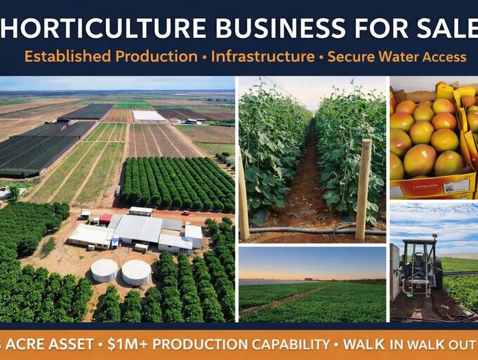 horticulture-business-amp-58-acre-asset-1-5m-capability-walk-in-walk-out-0