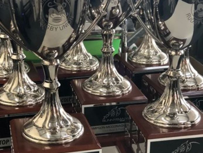 trophy-amp-awards-business-established-profitable-amp-reputable-5