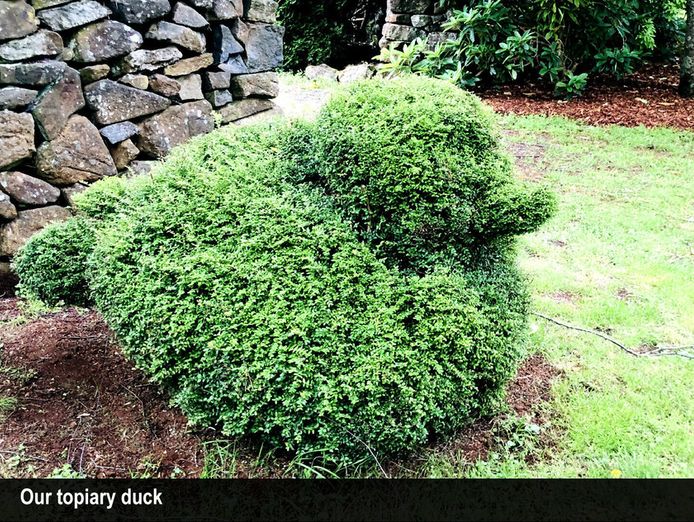 heritage-seed-bank-and-open-garden-5