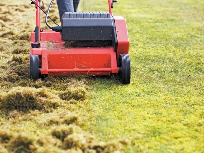 highly-profitable-lawn-renovation-amp-sports-field-maintenance-business-5