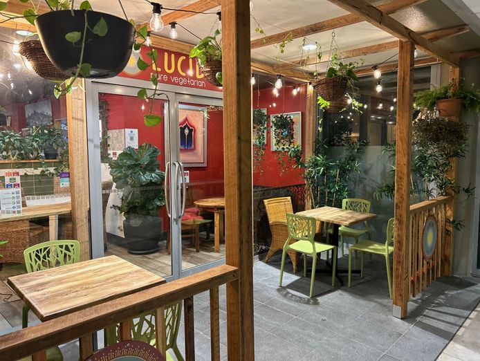 thriving-vegetarian-restaurant-with-beautiful-fit-out-0