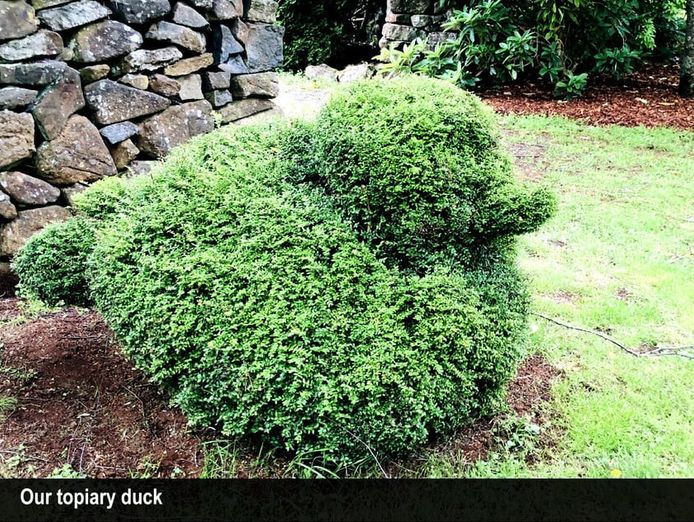 heritage-seed-bank-and-open-garden-5