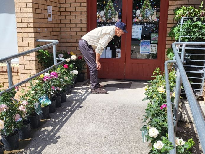 moontree-health-amp-organic-supermarket-long-established-cooma-icon-2