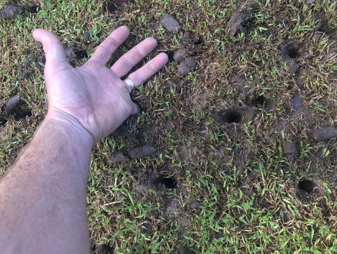 highly-profitable-lawn-renovation-amp-sports-field-maintenance-business-1